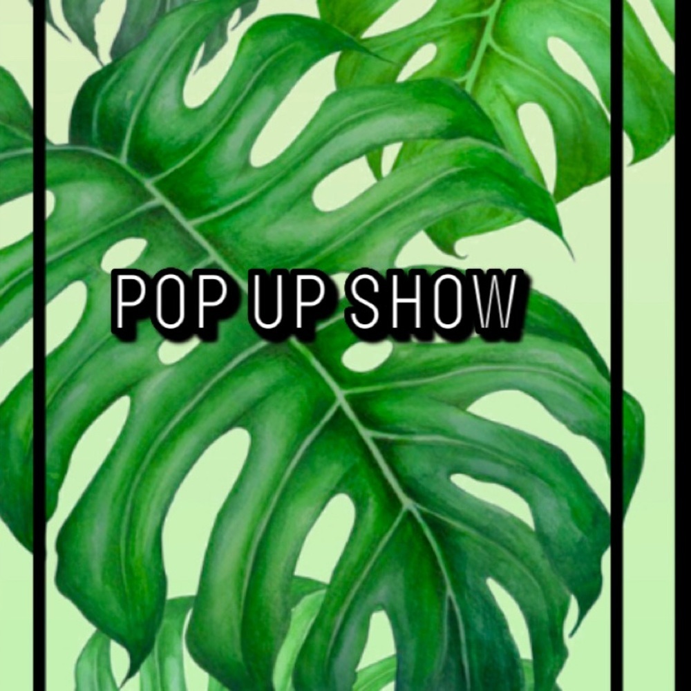 ✨PopUp Show Flyer✨